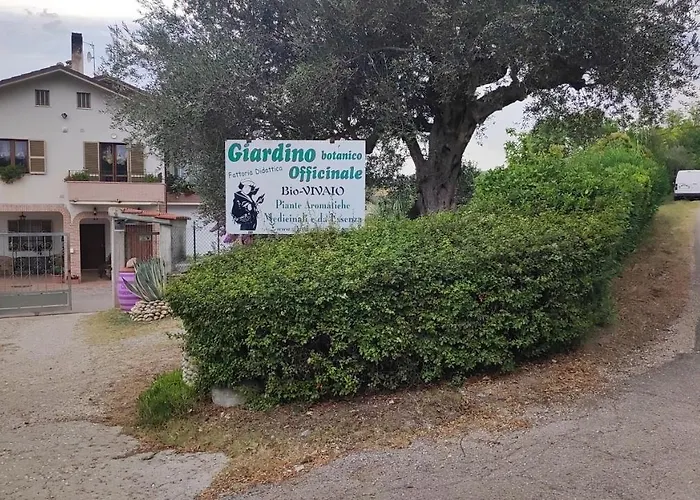 Bed and Breakfast I Tre Ulivi 3*