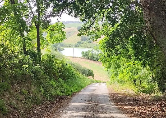 I Tre Ulivi Morro dʼOro